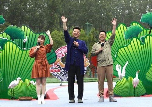 至尊红龙最新爆料视频,揭秘神秘力量与传奇故事